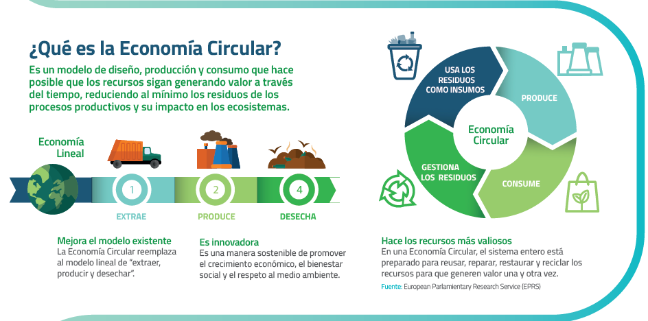Como funciona la economia circular
